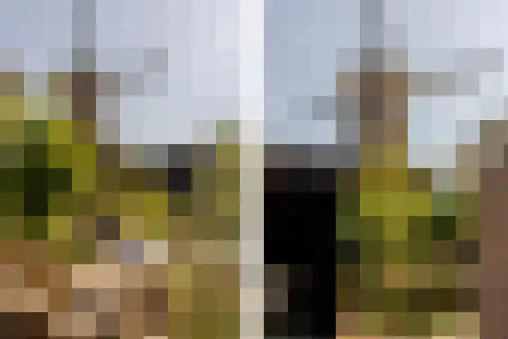 Johan Evertsenlaan 19 Maassluis thumbnail 40