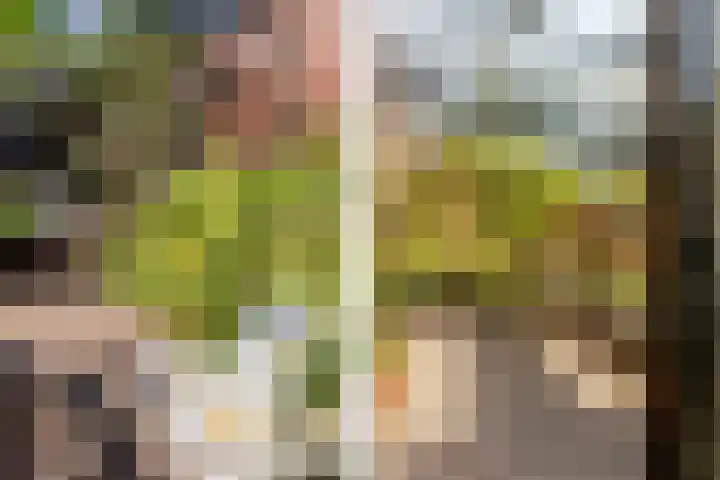 Johan Evertsenlaan 19 Maassluis thumbnail 42