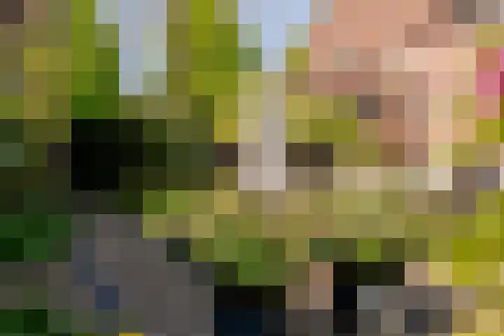 Johan Evertsenlaan 19 Maassluis thumbnail 45