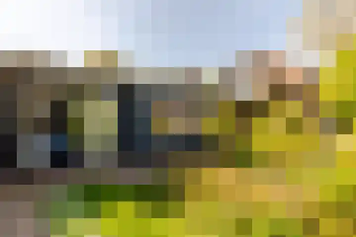 Johan Evertsenlaan 19 Maassluis thumbnail 47
