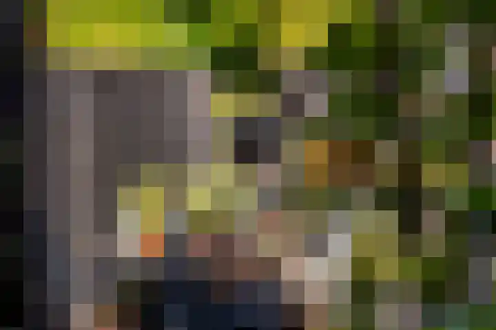 Johan Evertsenlaan 19 Maassluis thumbnail 48