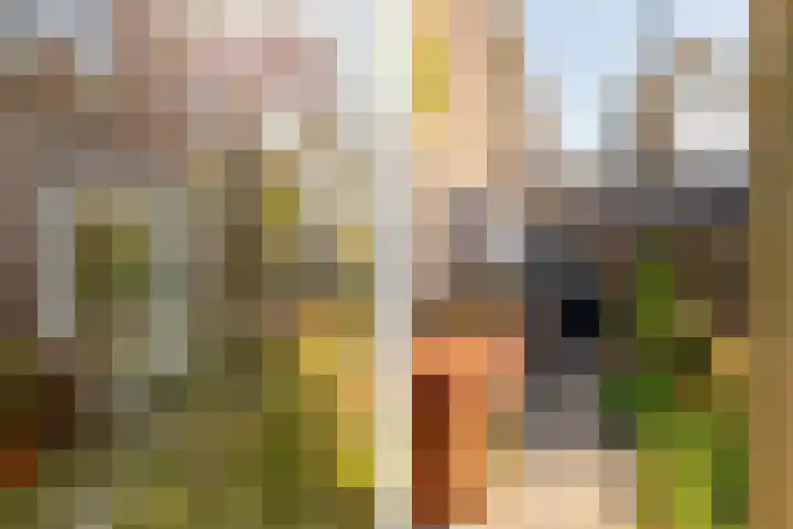 Johan Evertsenlaan 19 Maassluis thumbnail 5