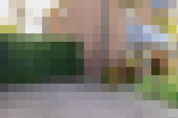 Johan Evertsenlaan 19 Maassluis thumbnail 51