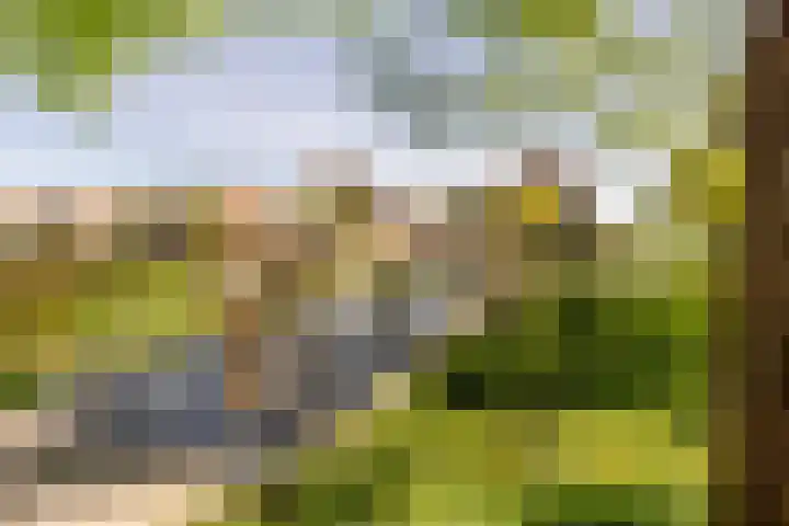 Johan Evertsenlaan 19 Maassluis thumbnail 56