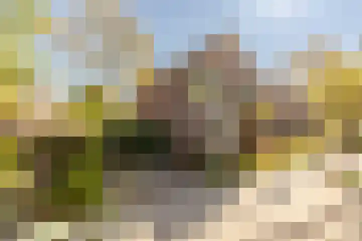 Johan Evertsenlaan 19 Maassluis thumbnail 63
