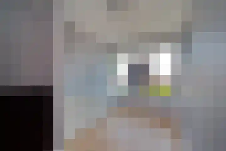Johan Evertsenlaan 2 A Maassluis thumbnail 13