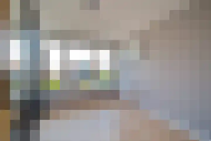 Johan Evertsenlaan 2 A Maassluis thumbnail 15