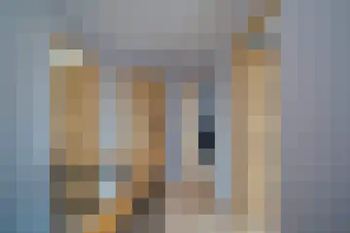 Johan Evertsenlaan 2 A Maassluis thumbnail 19