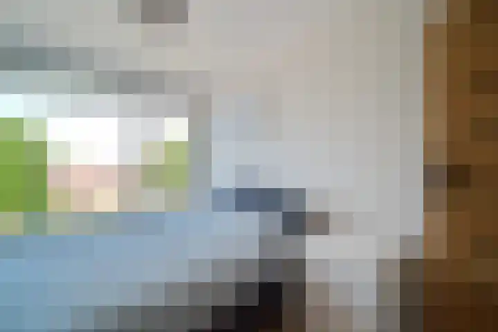 Johan Evertsenlaan 2 A Maassluis thumbnail 21