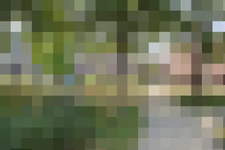Johan Evertsenlaan 2 A Maassluis thumbnail 30