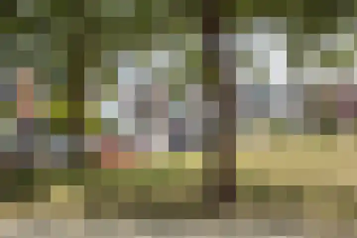 Johan Evertsenlaan 2 A Maassluis thumbnail 31