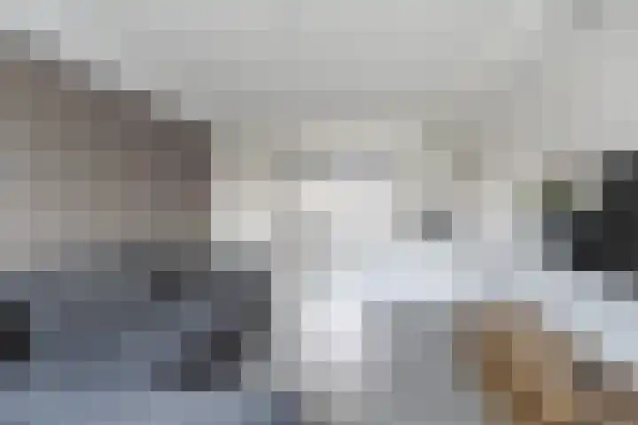 Johan Evertsenlaan 2 A Maassluis thumbnail 5