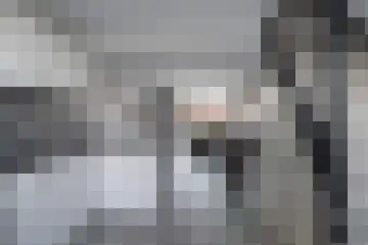 Johan Evertsenlaan 2 A Maassluis thumbnail 7