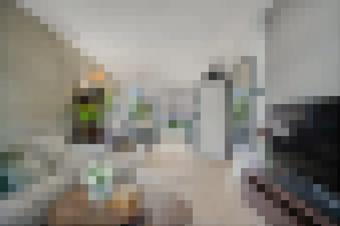 Johan Evertsenlaan 6 Maassluis thumbnail 12
