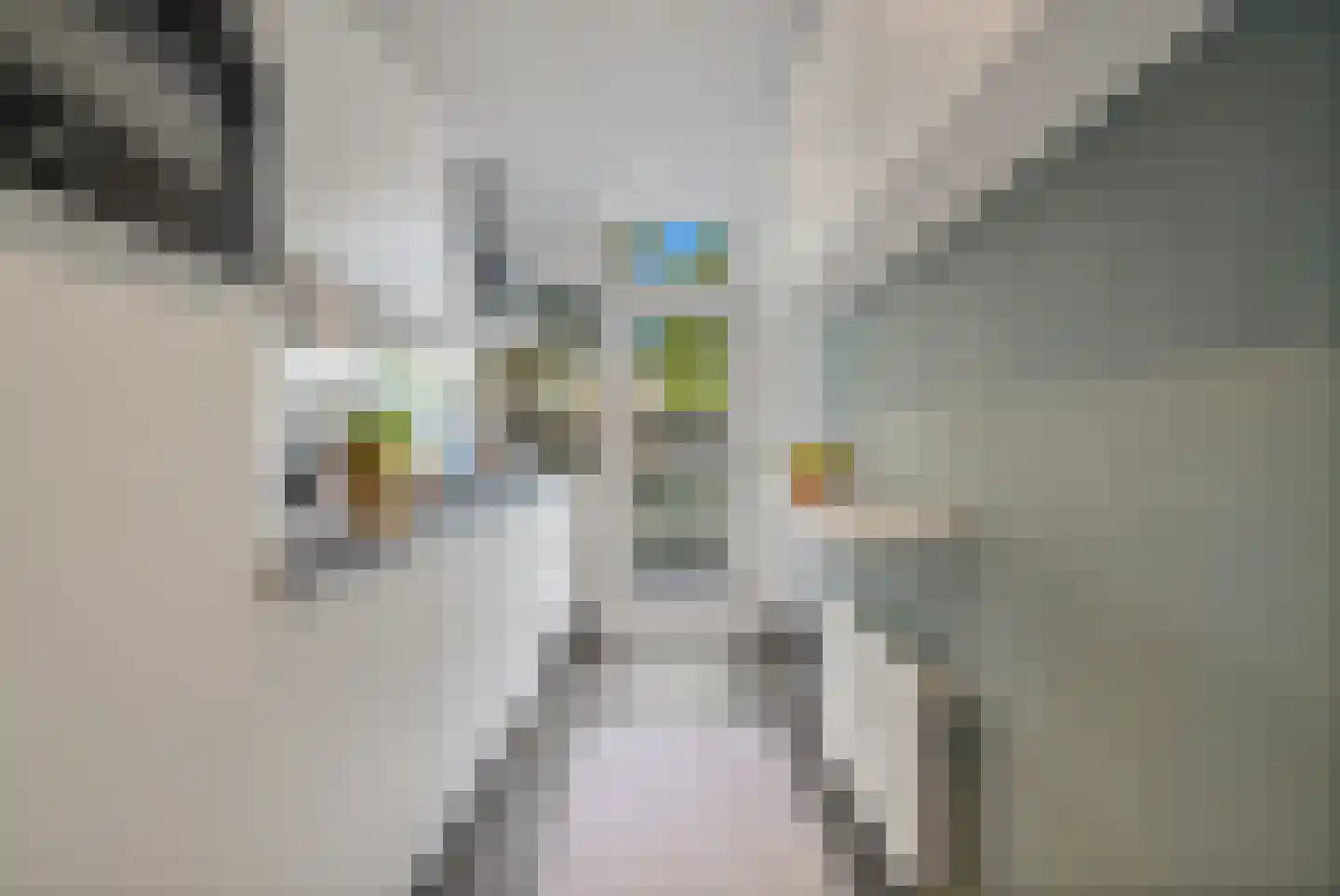 Johan Evertsenlaan 6 Maassluis thumbnail 19