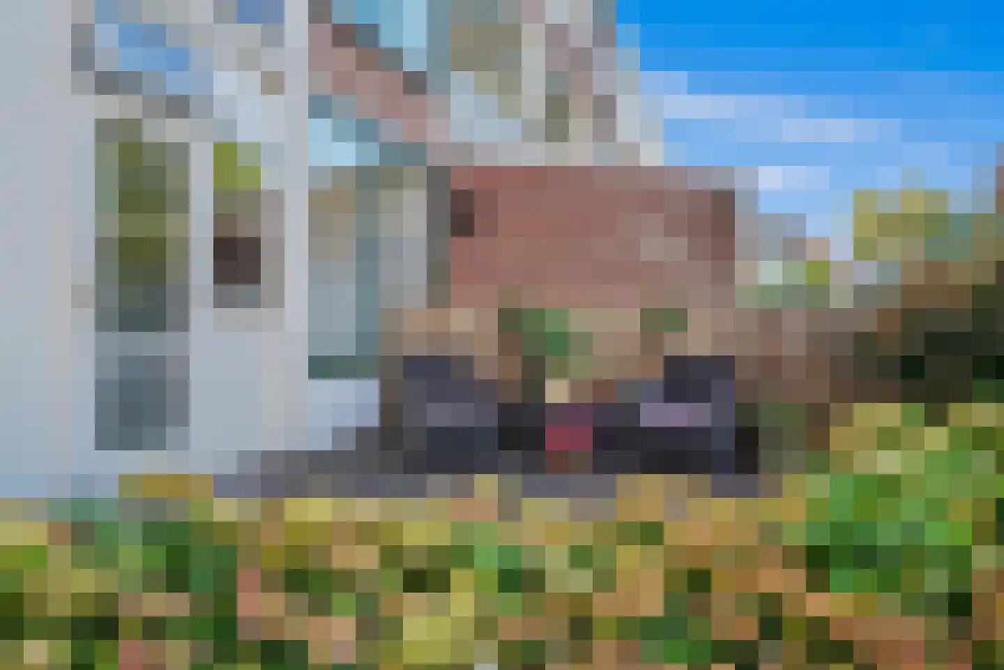 Johan Evertsenlaan 6 Maassluis thumbnail 23
