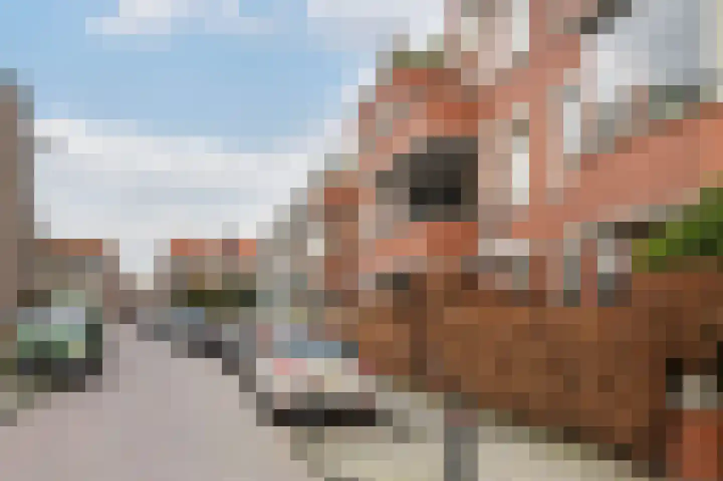 Johan Evertsenlaan 7 A Maassluis thumbnail 39