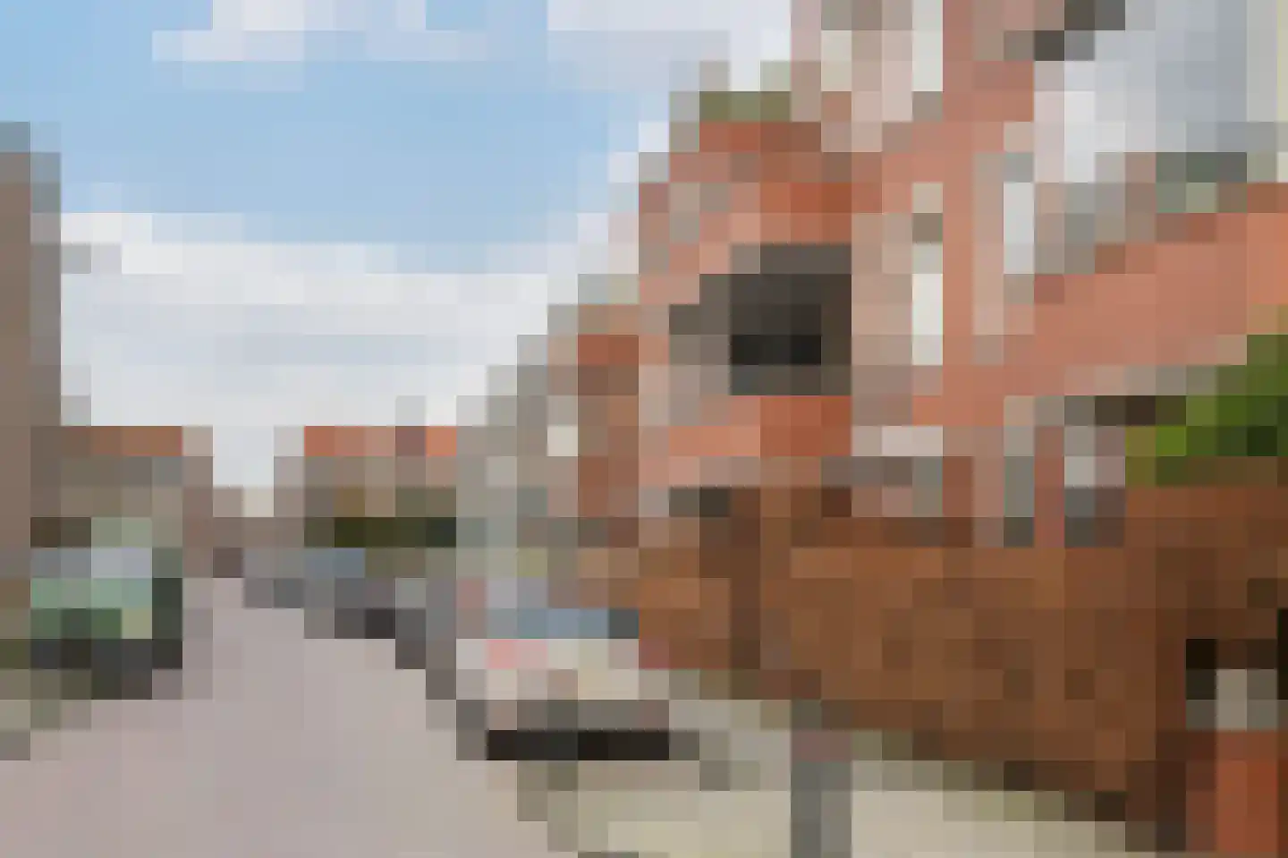 Johan Evertsenlaan 7 A Maassluis thumbnail 39