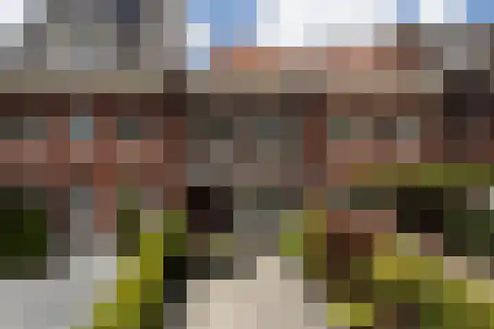 Johan Fabriciusstraat 26 Berkel en Rodenrijs thumbnail 4