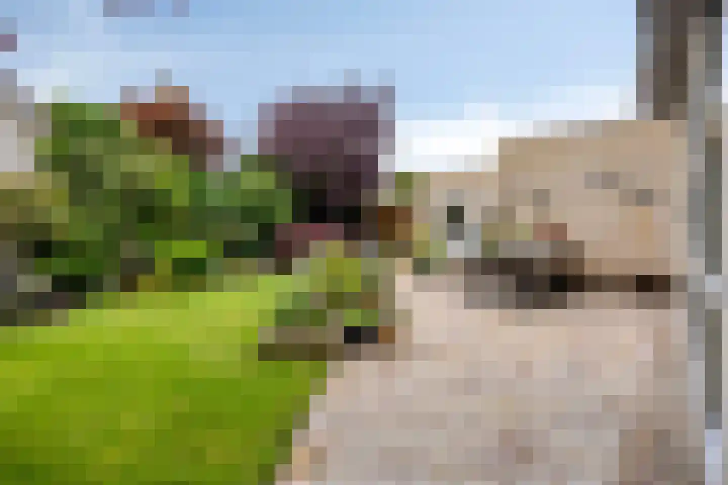 Johan Fabriciusstraat 7 Almere thumbnail 52