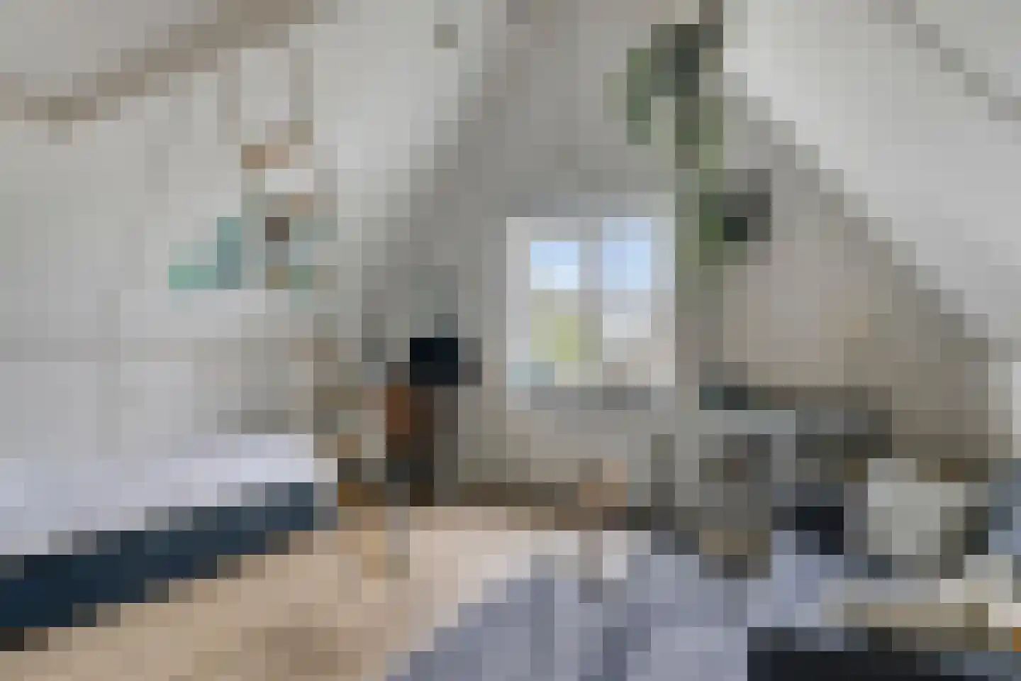 Johan Fonteinpad 5 Hoevelaken thumbnail 24