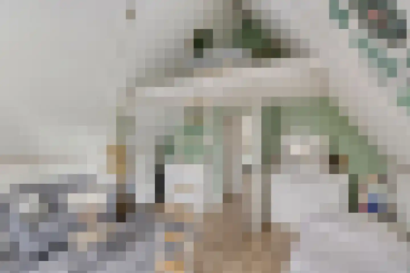Johan Fonteinpad 5 Hoevelaken thumbnail 25