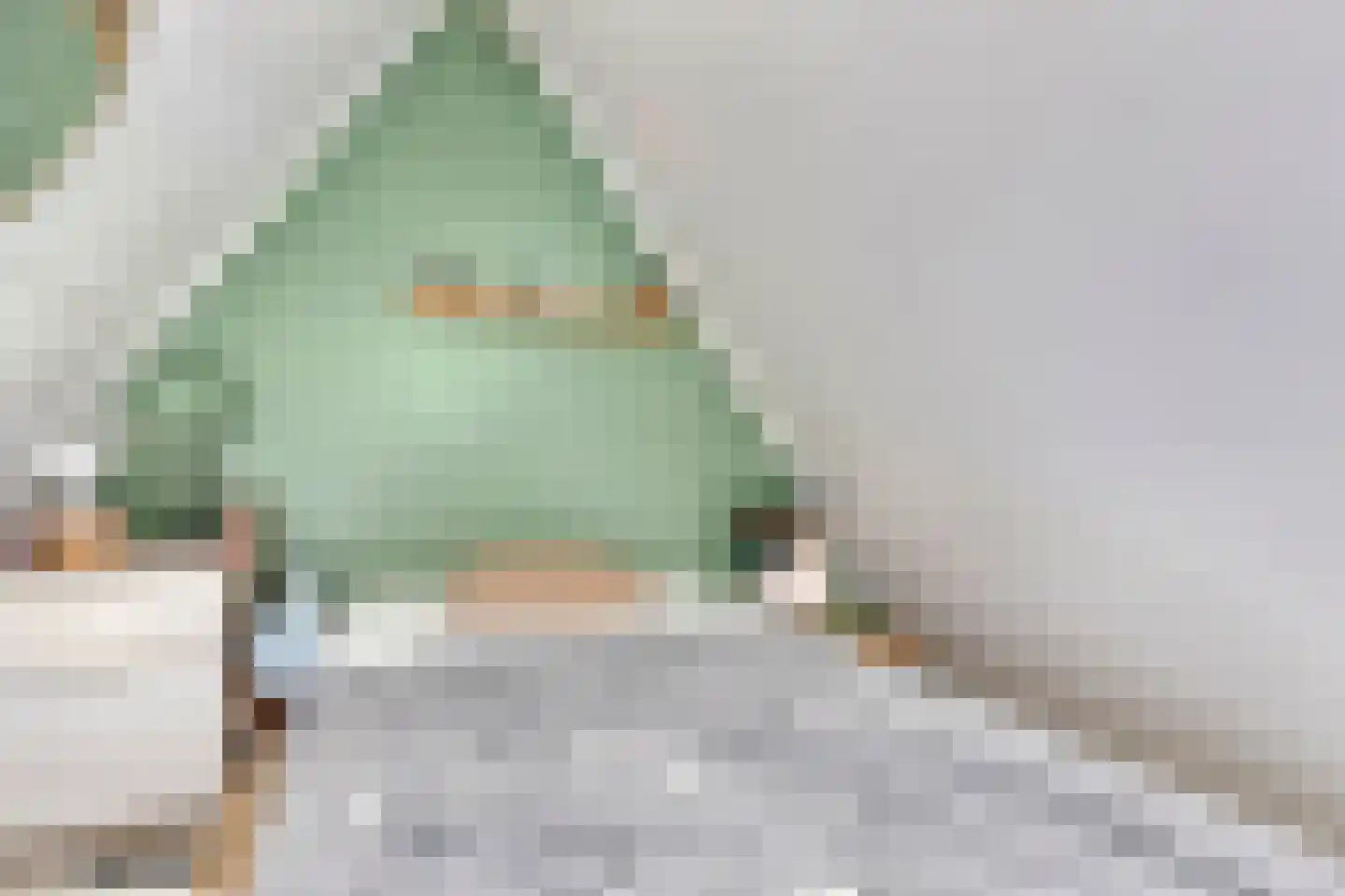 Johan Fonteinpad 5 Hoevelaken thumbnail 26