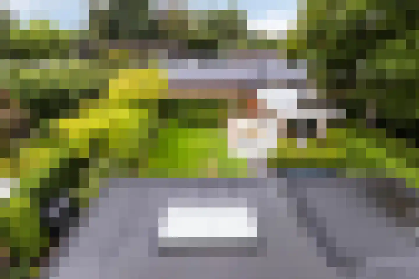 Johan Fonteinpad 5 Hoevelaken thumbnail 33