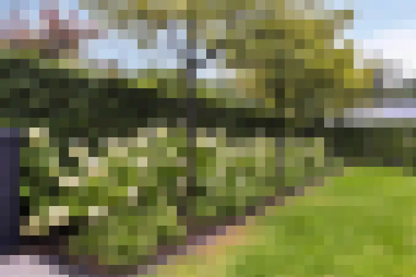 Johan Fonteinpad 5 Hoevelaken thumbnail 36