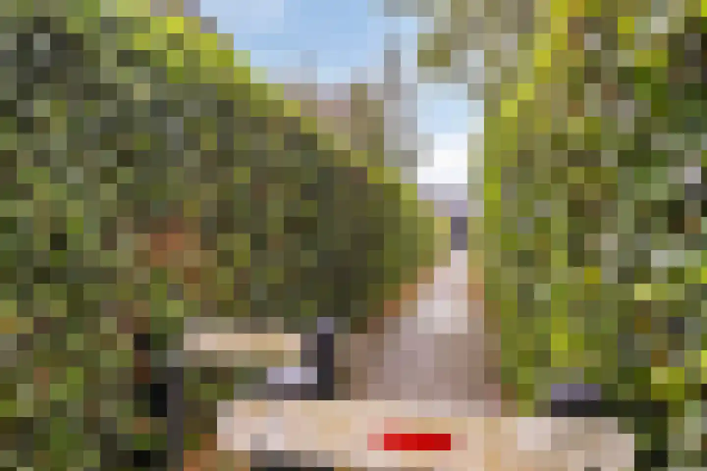 Johan Fonteinpad 5 Hoevelaken thumbnail 44