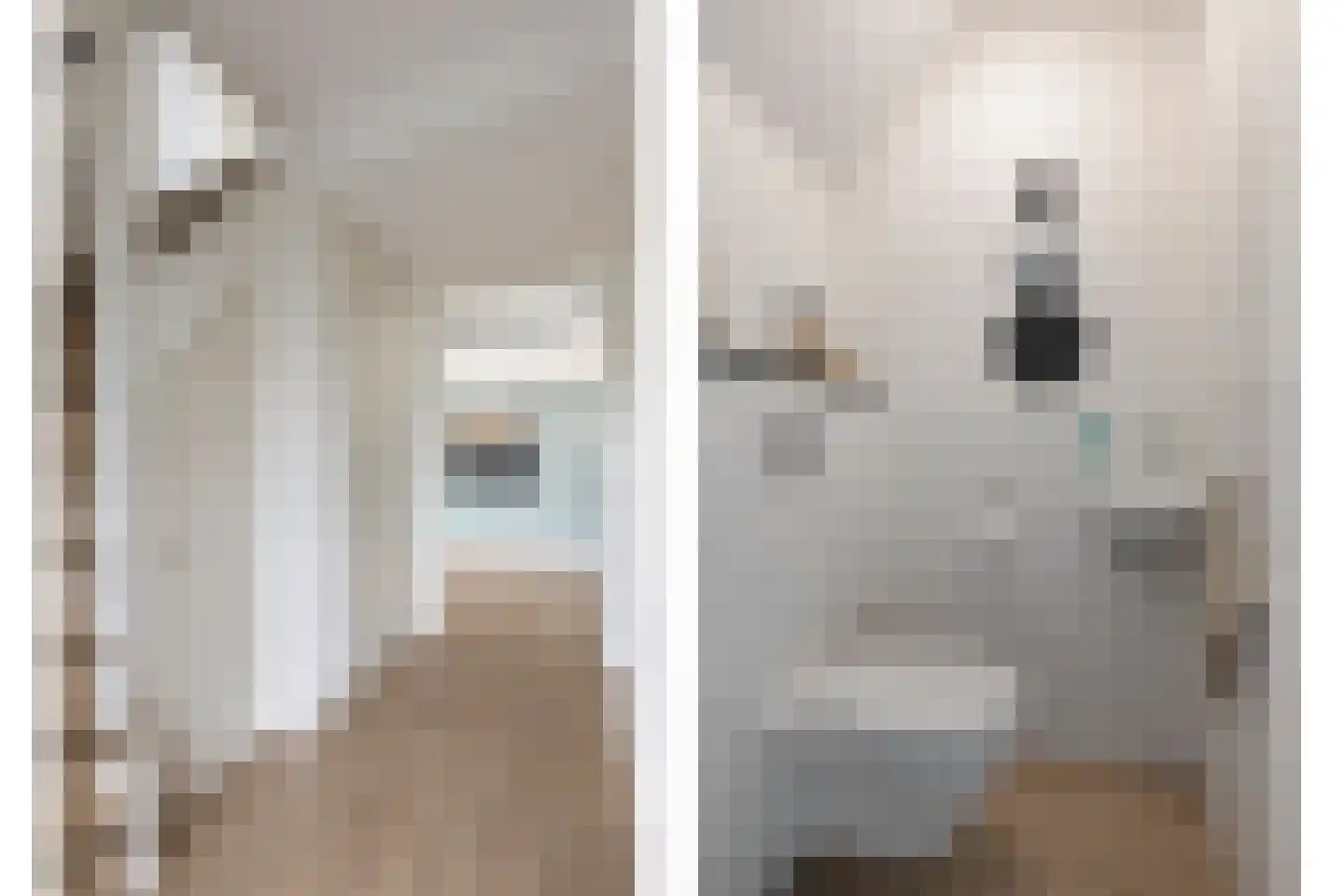 Johan Fonteinpad 5 Hoevelaken thumbnail 5