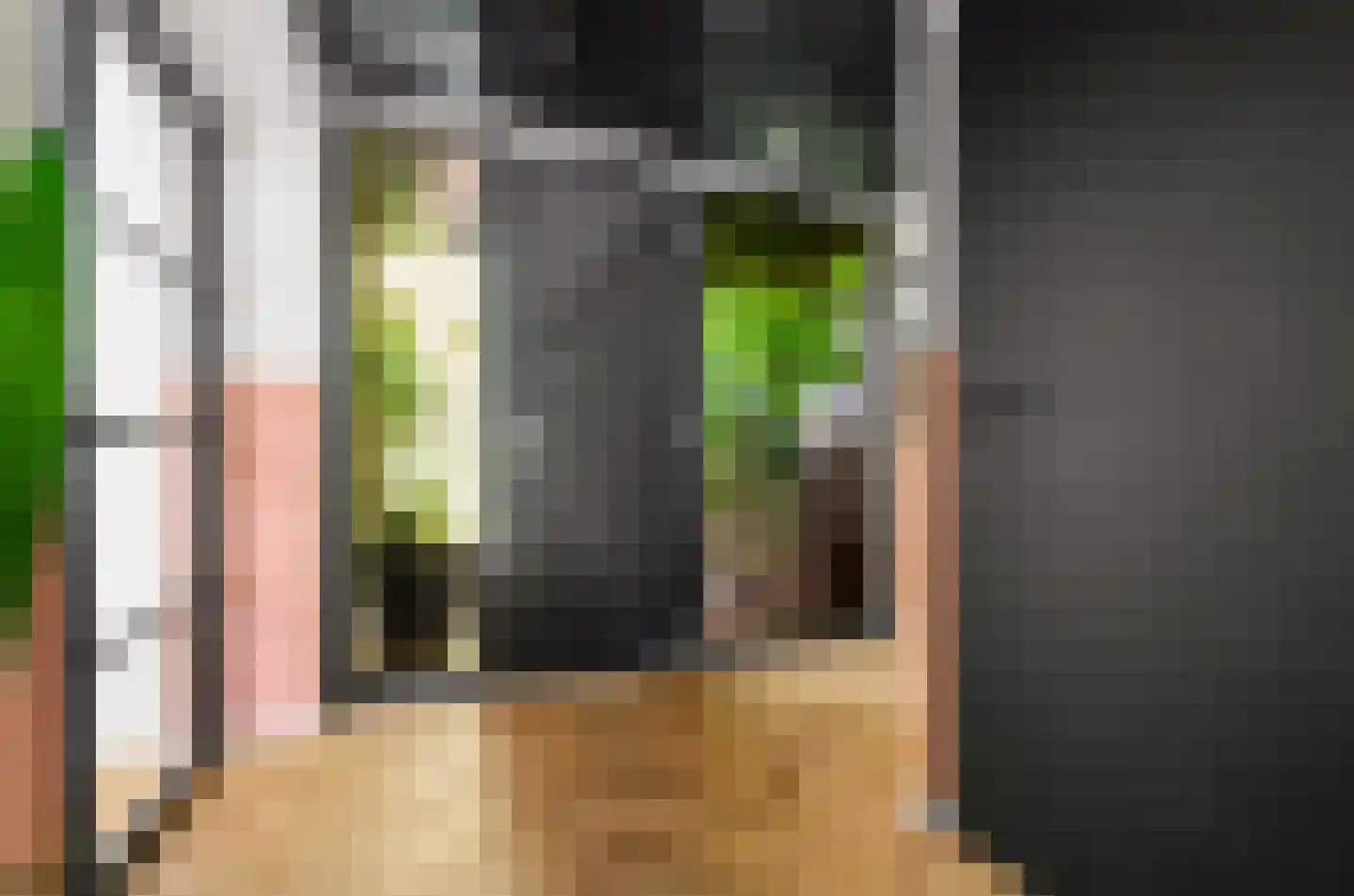 Johan Frisohof 1 Hoevelaken thumbnail 16