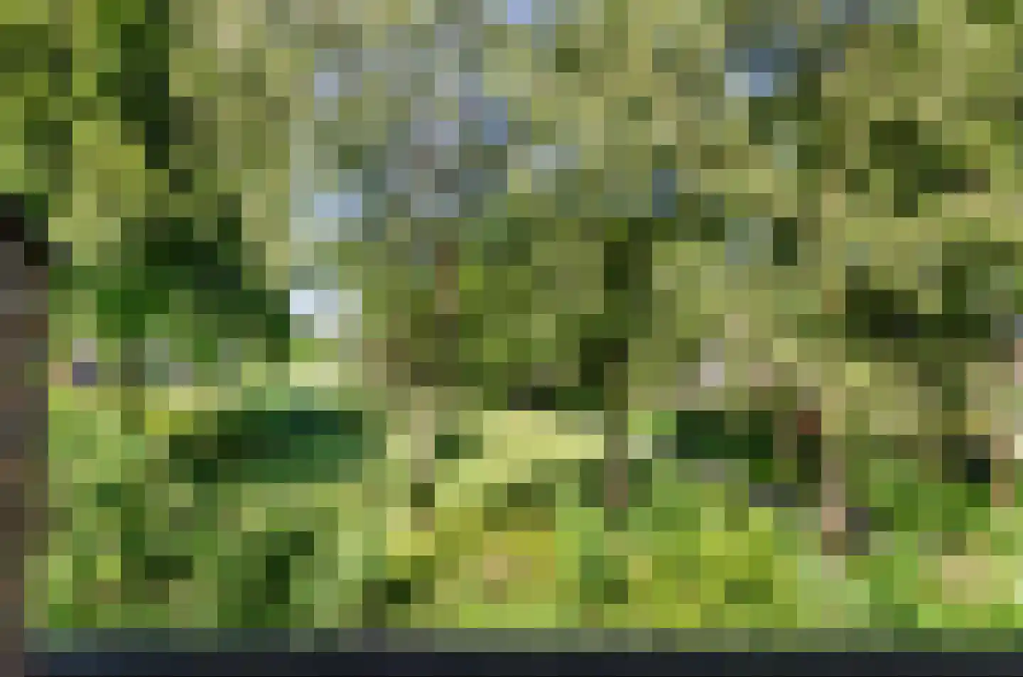 Johan Frisohof 1 Hoevelaken thumbnail 25