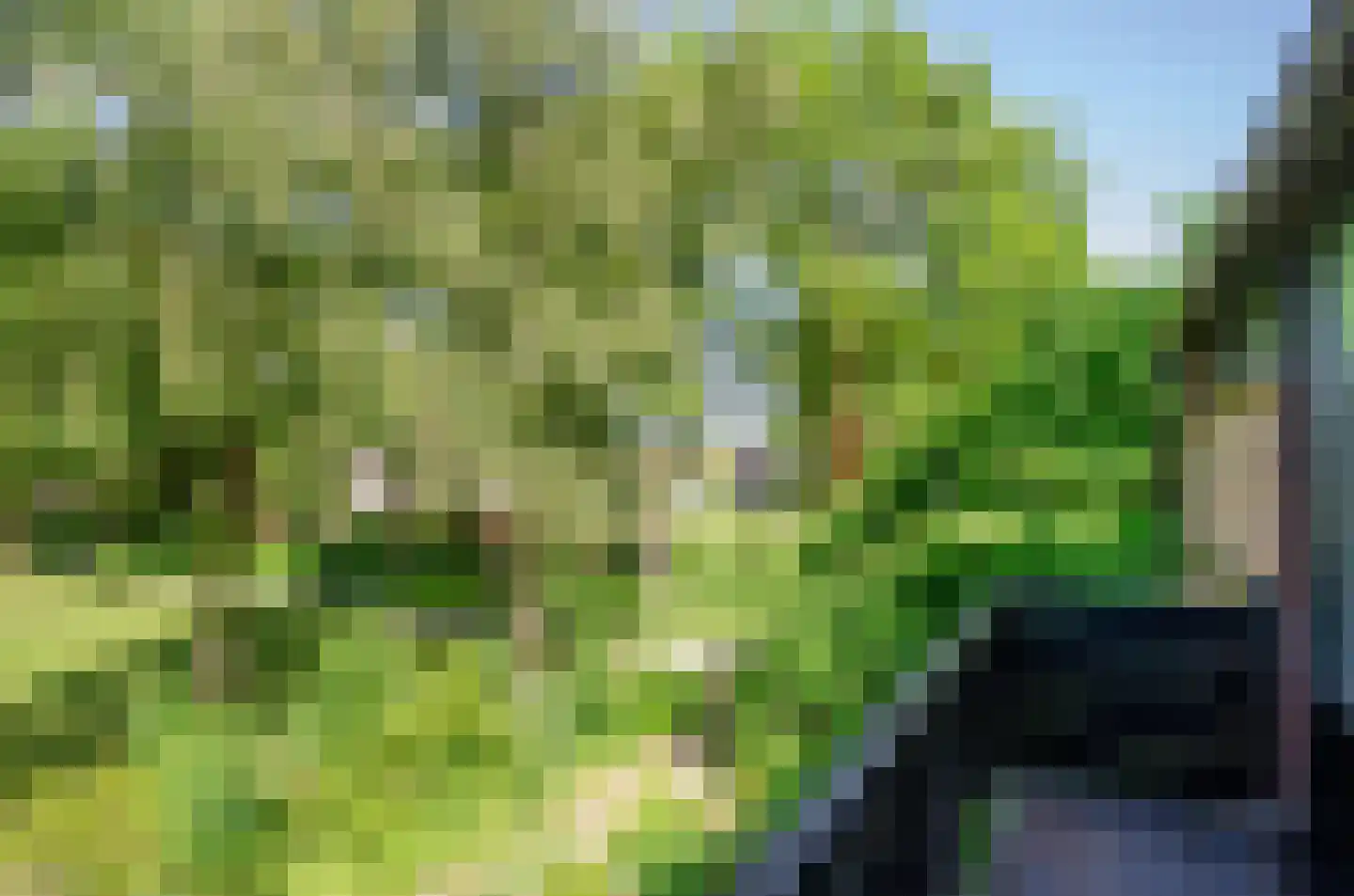 Johan Frisohof 1 Hoevelaken thumbnail 26