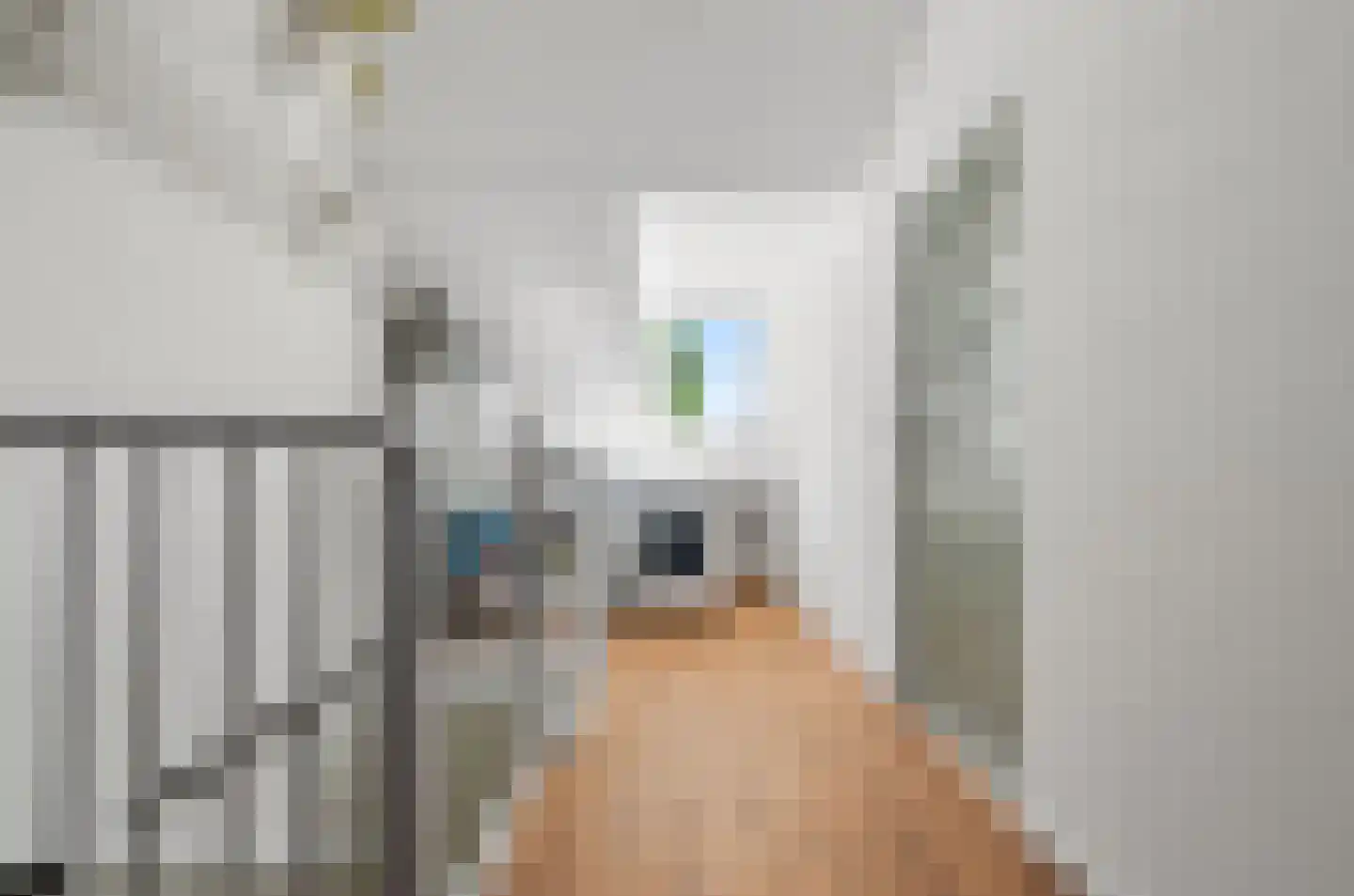 Johan Frisohof 1 Hoevelaken thumbnail 37
