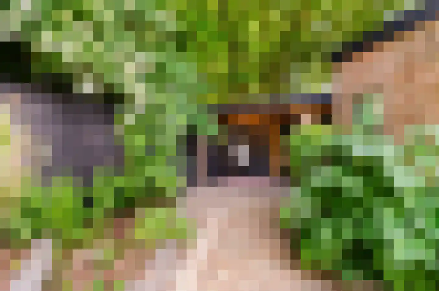 Johan Frisohof 1 Hoevelaken thumbnail 43