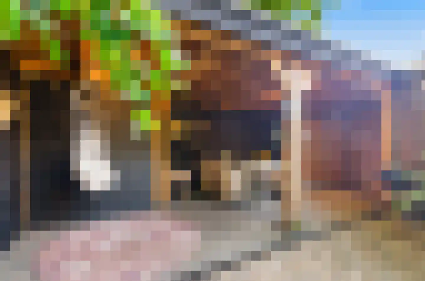 Johan Frisohof 1 Hoevelaken thumbnail 44