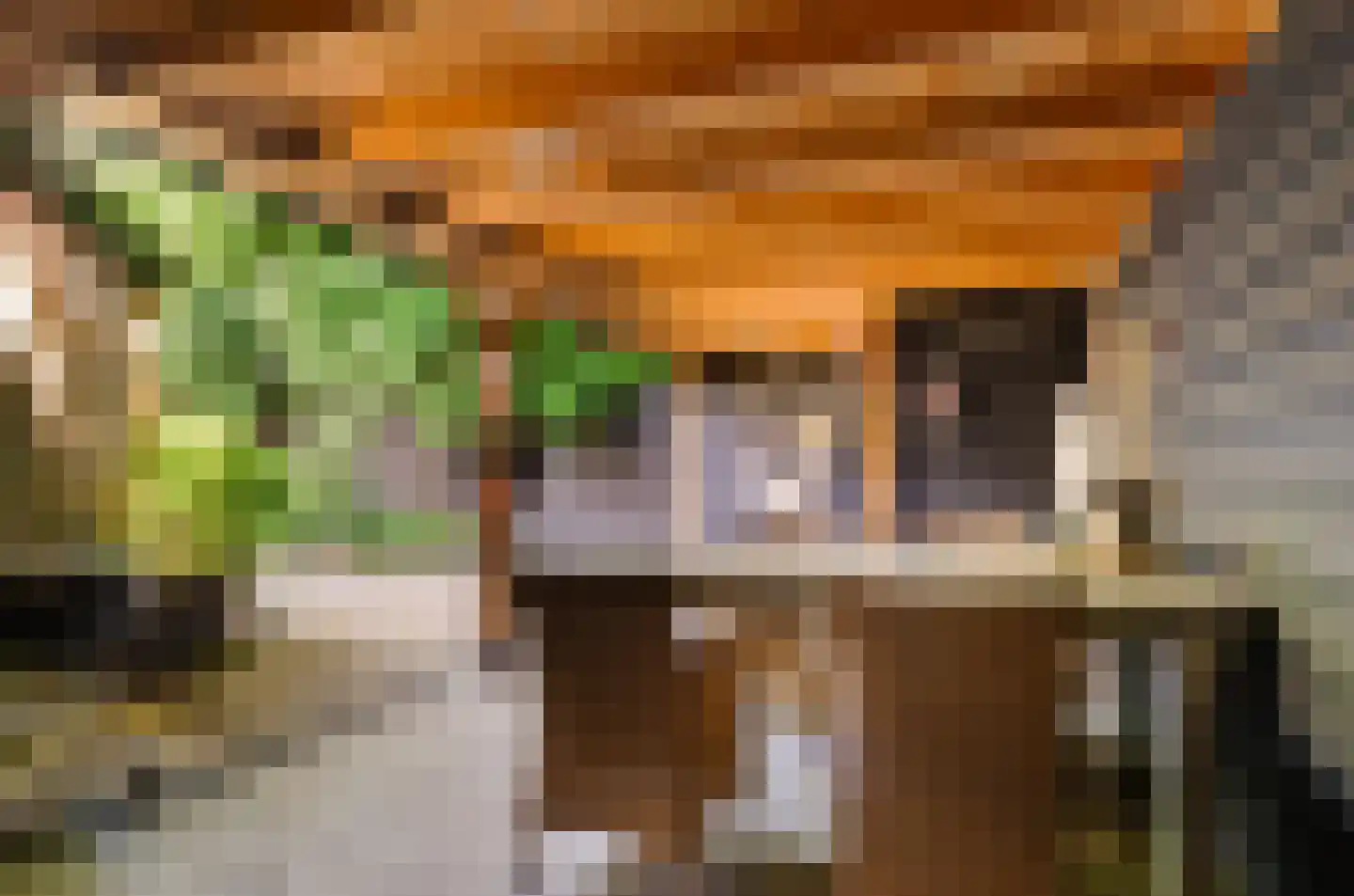 Johan Frisohof 1 Hoevelaken thumbnail 46