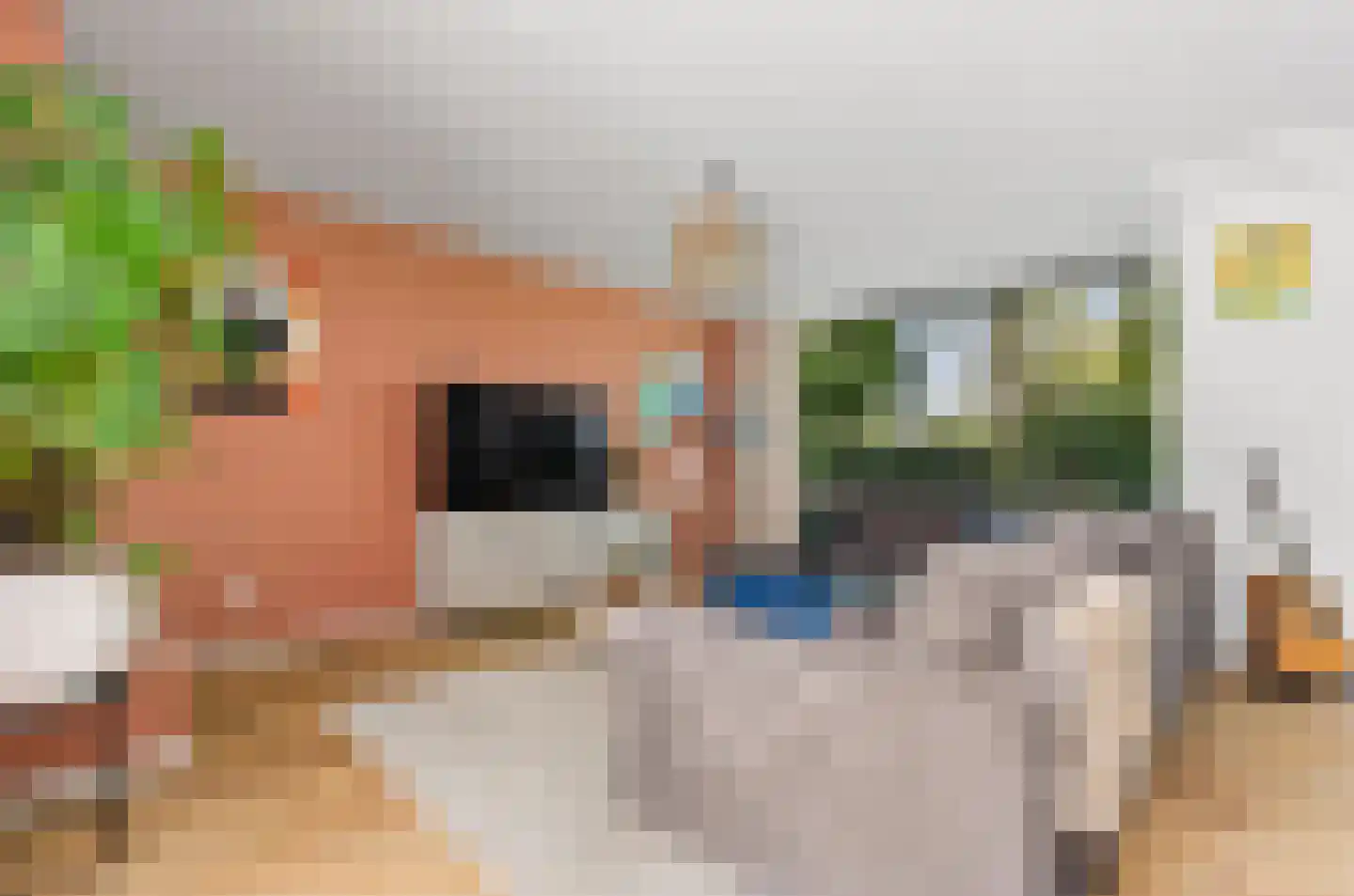 Johan Frisohof 1 Hoevelaken thumbnail 5