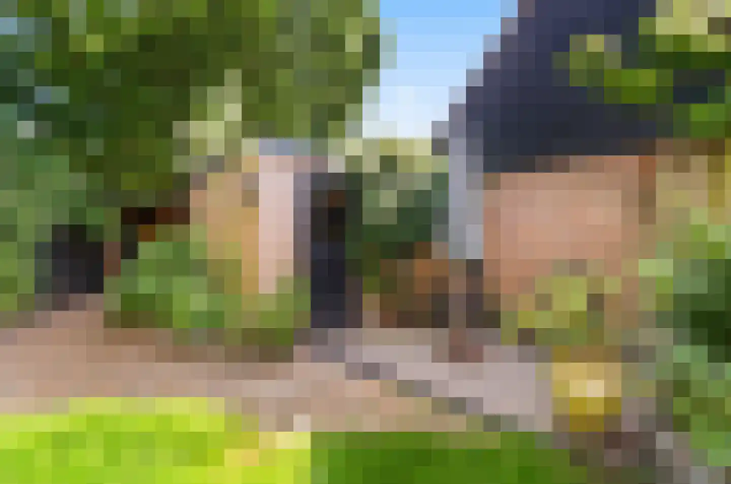 Johan Frisohof 1 Hoevelaken thumbnail 51