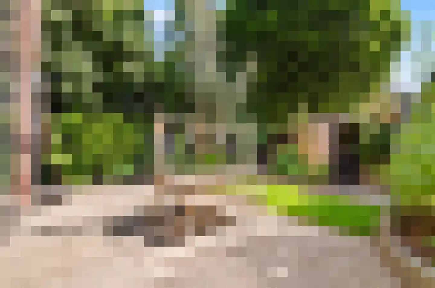 Johan Frisohof 1 Hoevelaken thumbnail 52