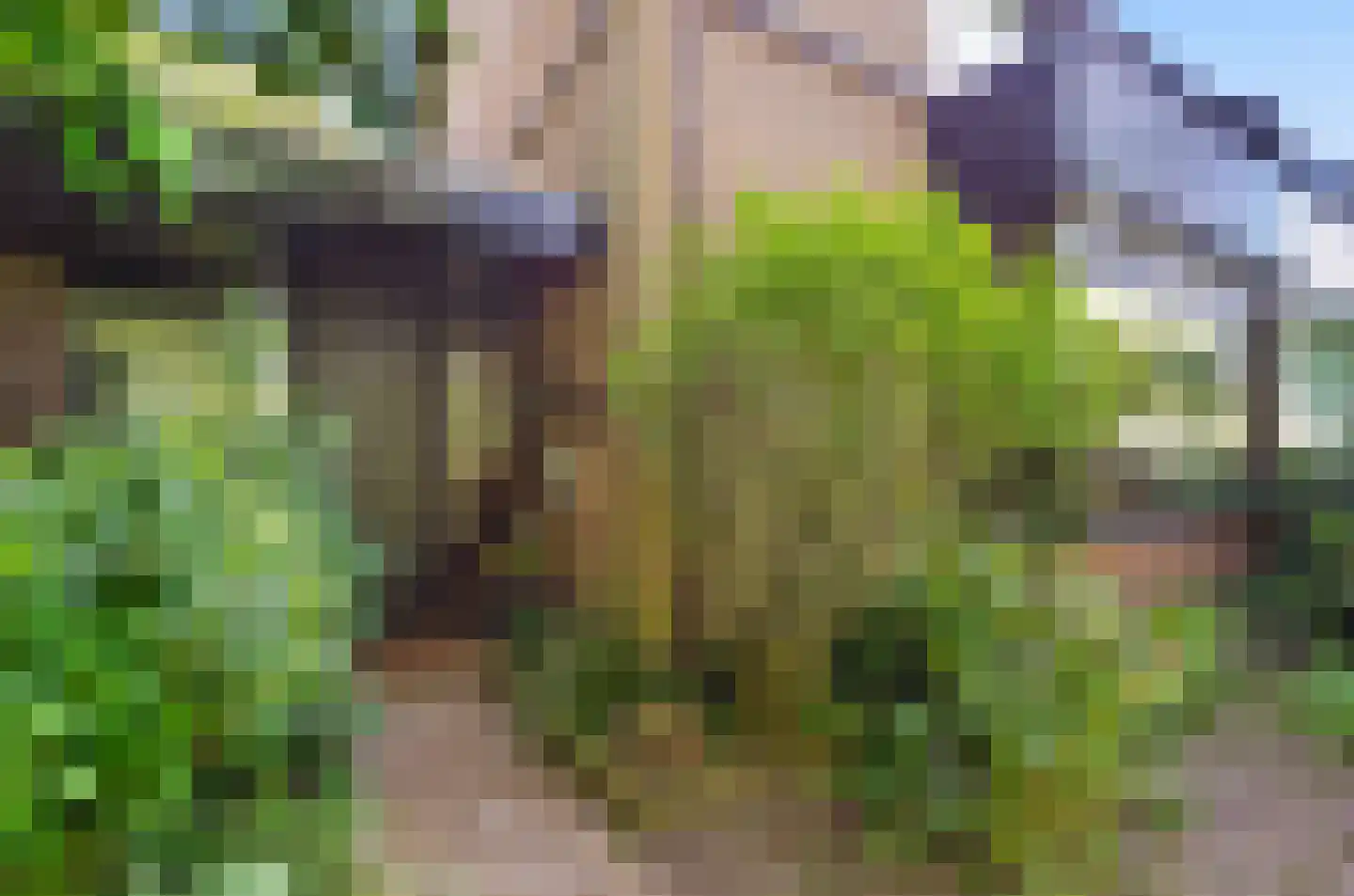 Johan Frisohof 1 Hoevelaken thumbnail 53