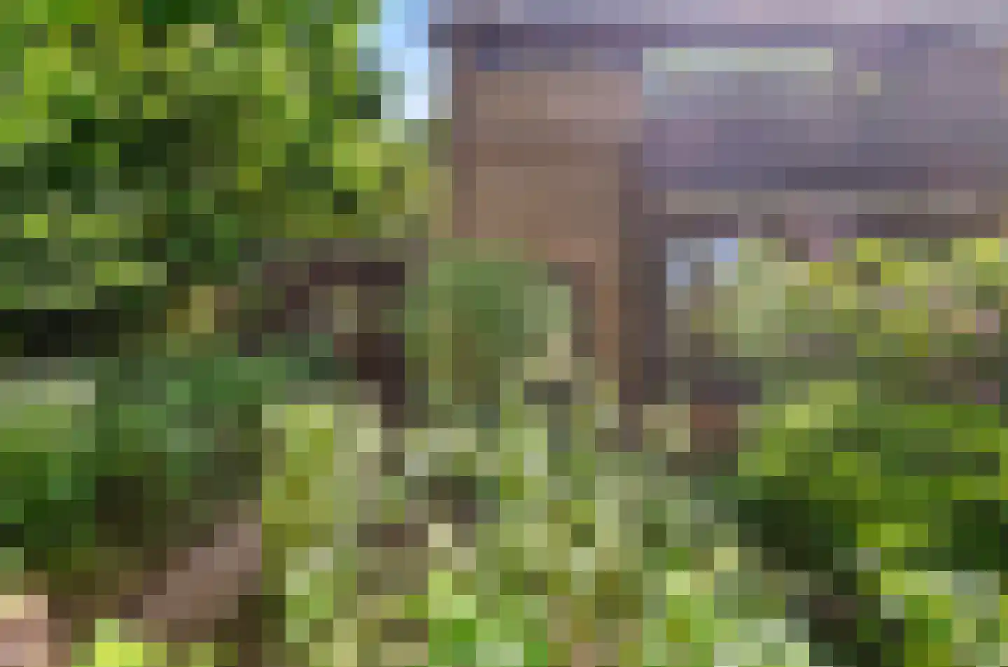 Johan Frisohof 1 Hoevelaken thumbnail 54