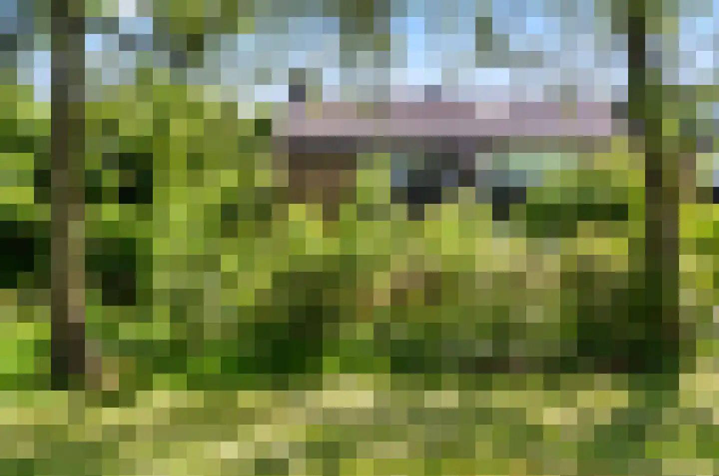 Johan Frisohof 1 Hoevelaken thumbnail 56