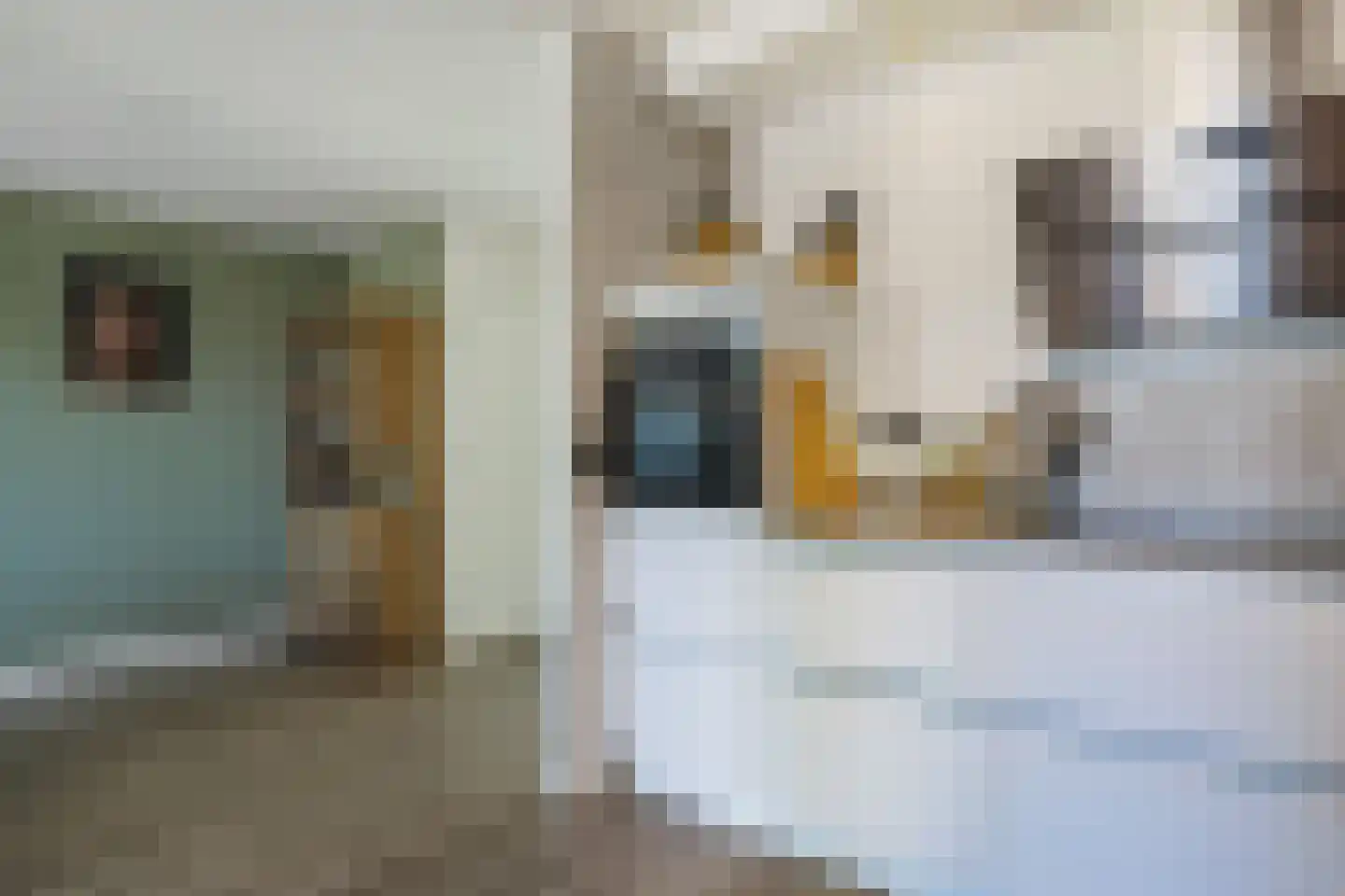 Johan Frisohof 10 Hoevelaken thumbnail 13