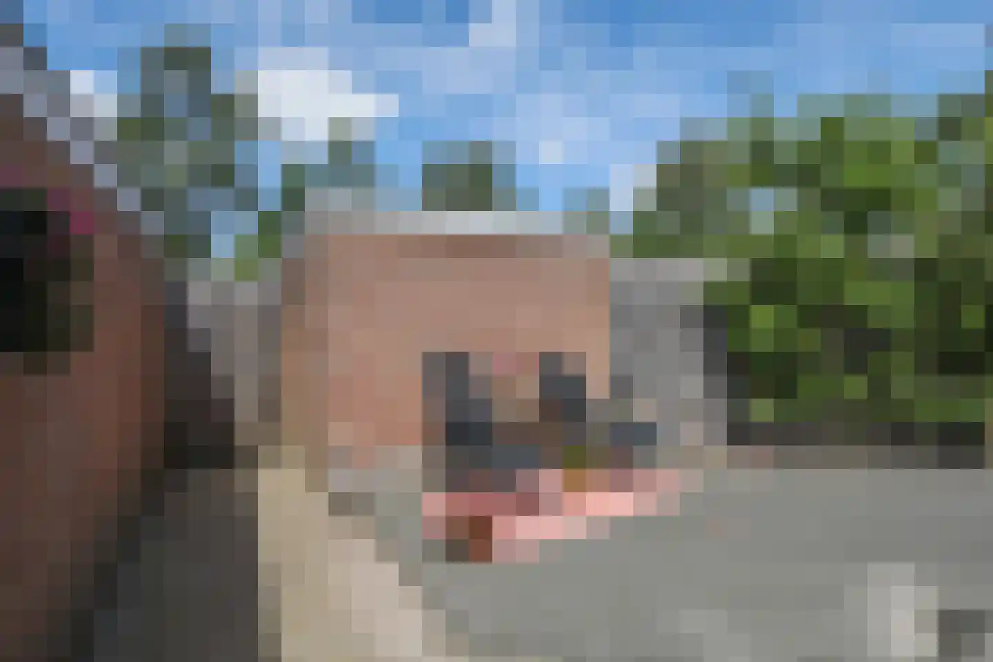 Johan Frisohof 10 Hoevelaken thumbnail 36