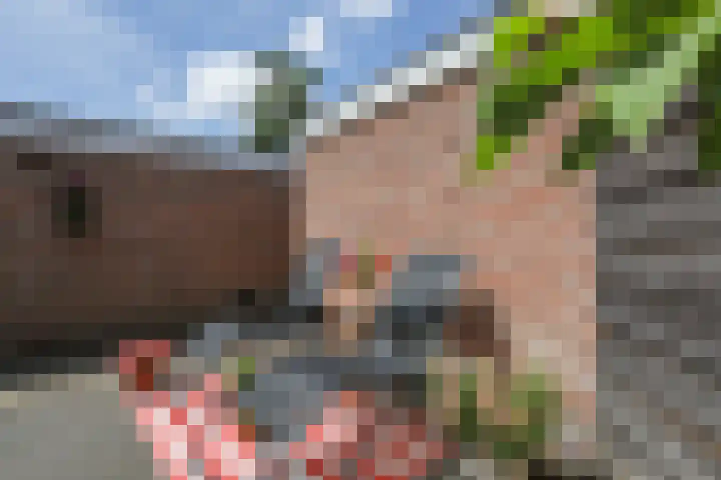Johan Frisohof 10 Hoevelaken thumbnail 37