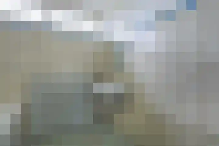 Johan Frisohof 15 Hoevelaken thumbnail 28