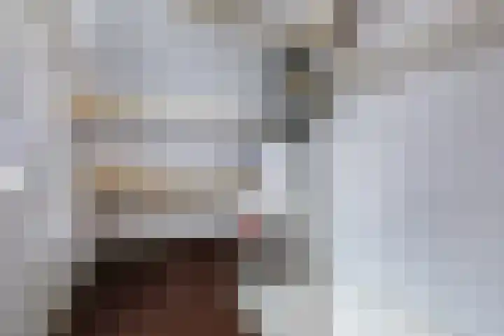 Johan Frisohof 15 Hoevelaken thumbnail 32