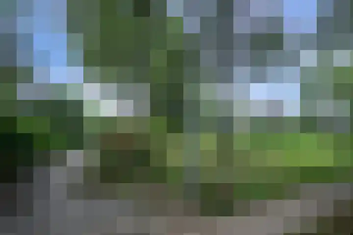 Johan Frisohof 15 Hoevelaken thumbnail 47